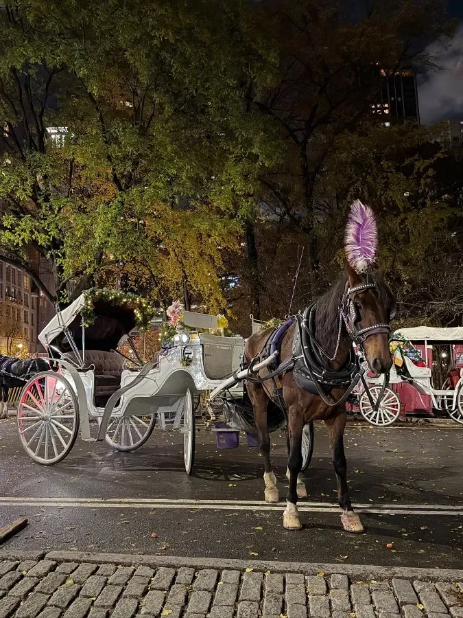 Private horse carriage ride past Rockefeller Center Christmas tree at night
