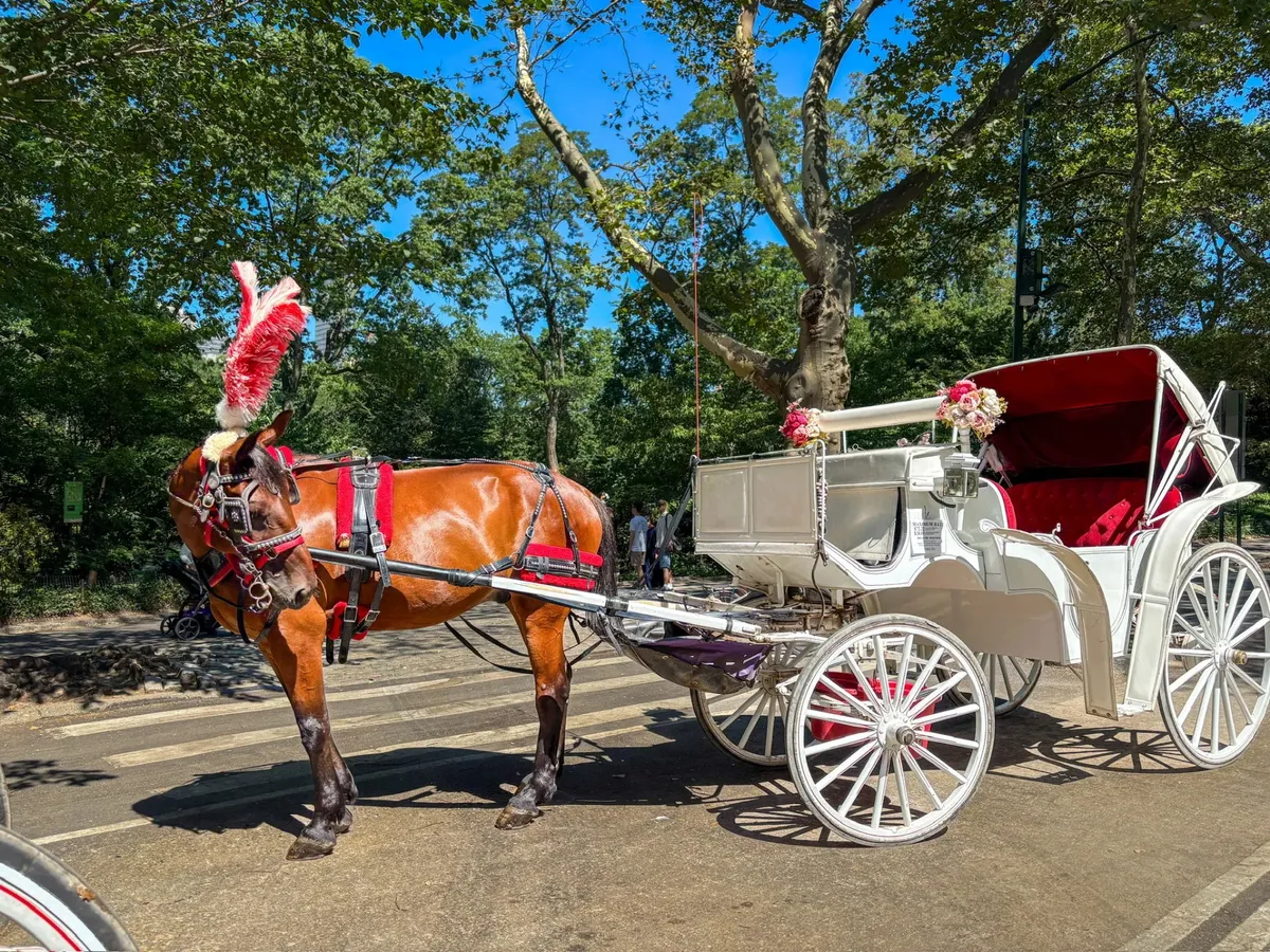 IMG 1433 result